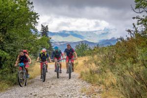 TRANSPROVENCE2020_191