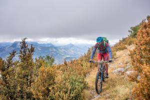 TRANSPROVENCE2020_193