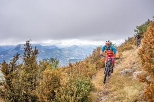 TRANSPROVENCE2020_194