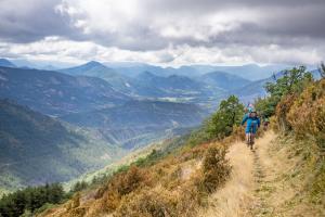 TRANSPROVENCE2020_196