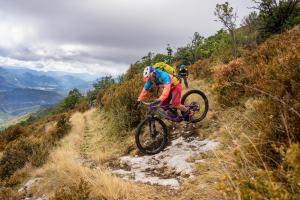TRANSPROVENCE2020_197