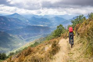 TRANSPROVENCE2020_199