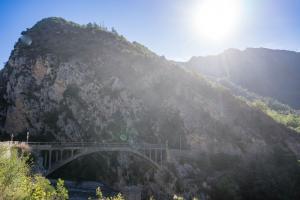 TRANSPROVENCE2020_208