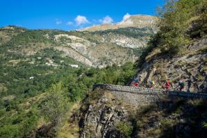 TRANSPROVENCE2020_211