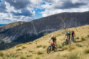 TRANSPROVENCE2020_217