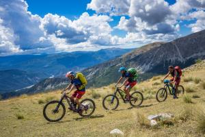 TRANSPROVENCE2020_218