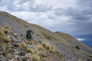 TRANSPROVENCE2020_229