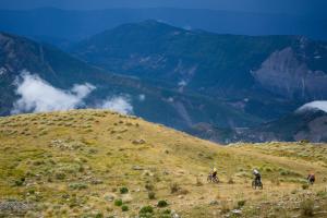 TRANSPROVENCE2020_234