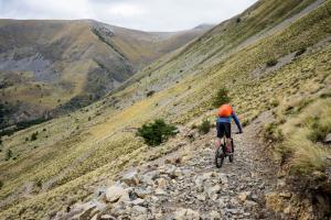 TRANSPROVENCE2020_235