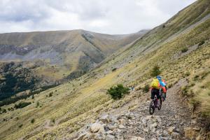 TRANSPROVENCE2020_237