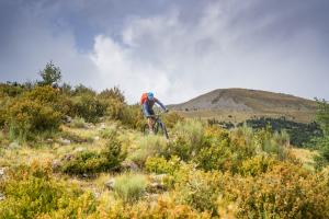 TRANSPROVENCE2020_240