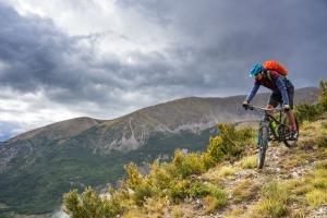 TRANSPROVENCE2020_241