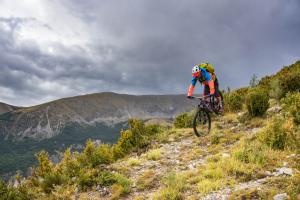 TRANSPROVENCE2020_242