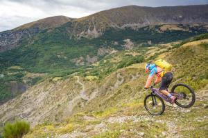 TRANSPROVENCE2020_244