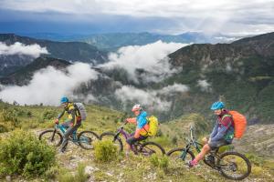 TRANSPROVENCE2020_249